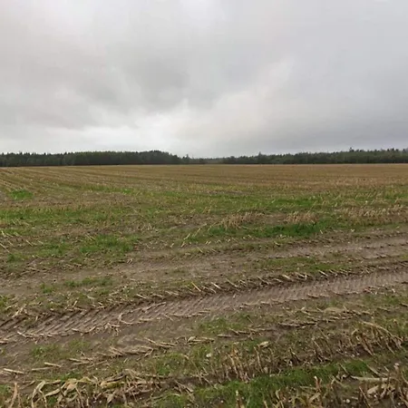 Дом отдыха 5 Star In Hovborg-by Traum