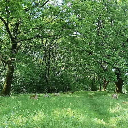 5 Star In Hovborg-by Traum * Hovborg