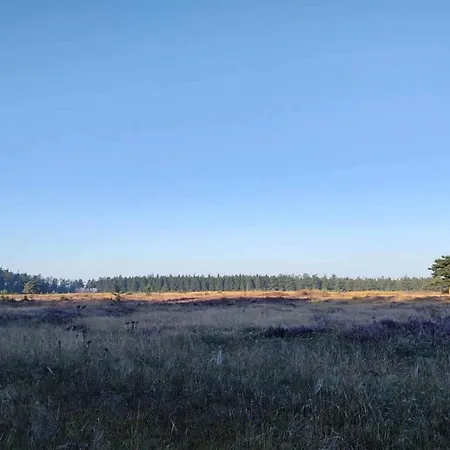 5 Star In Hovborg-by Traum *