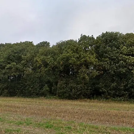 5 Star In Hovborg-by Traum * Hovborg