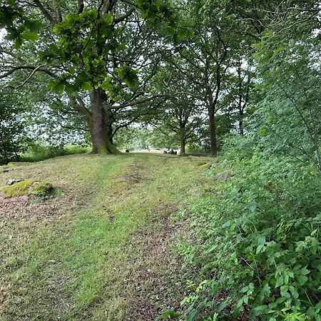 Сasa de vacaciones 5 Star In Hovborg-by Traum