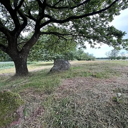 Сasa de vacaciones 5 Star In Hovborg-by Traum *