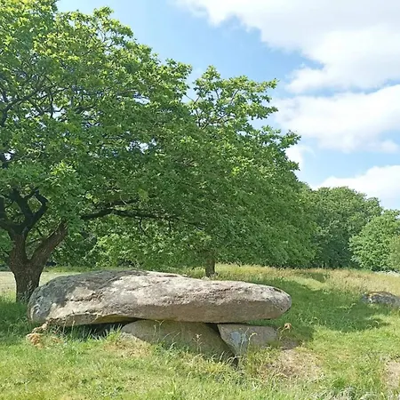 5 Star In Hovborg-by Traum