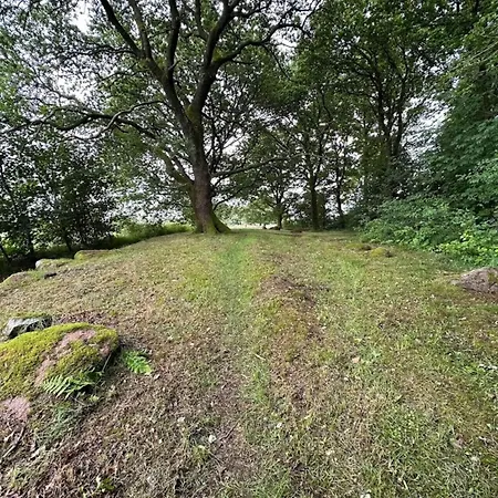 5 Star In Hovborg-by Traum Дом отдыха *